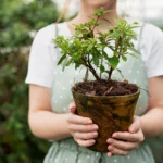 we belive in the power of plant