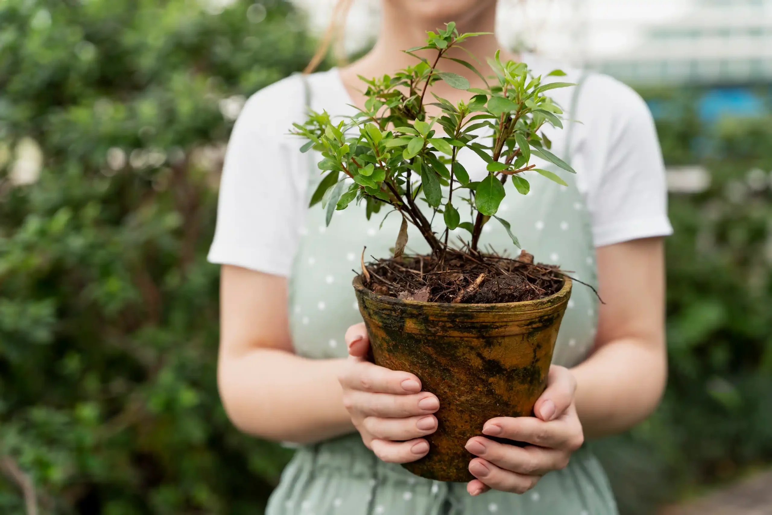 we belive in the power of plant scaled