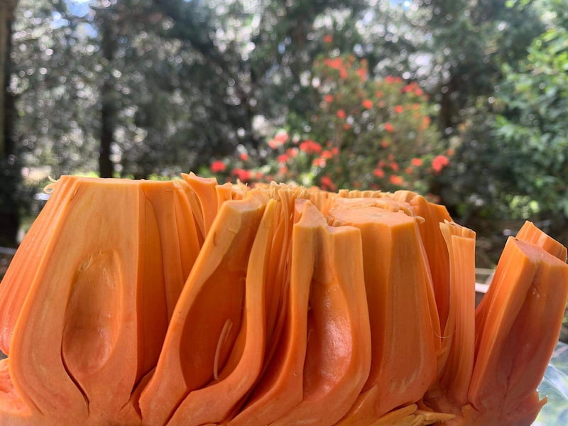 Mít ruột đỏ Indonesia mít đỏ indo